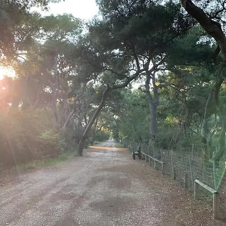 Apartment Whole Flat, Location, Seaside Town