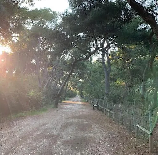 Apartment Whole Flat, Location, Seaside Town